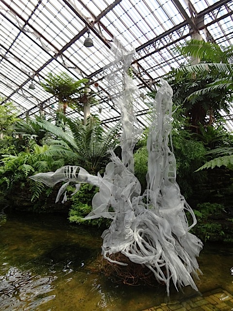 Fern Room pond installation F